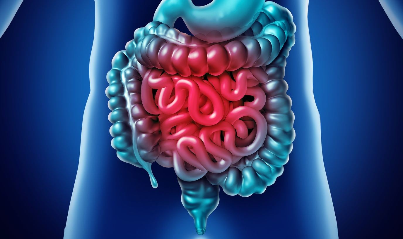 Importância do intestino para o equilíbrio do corpo norteia novo livro de nutricionista