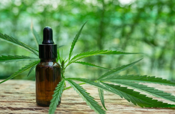 Saúde e economia podem se beneficiar com legalização da cannabis medicinal