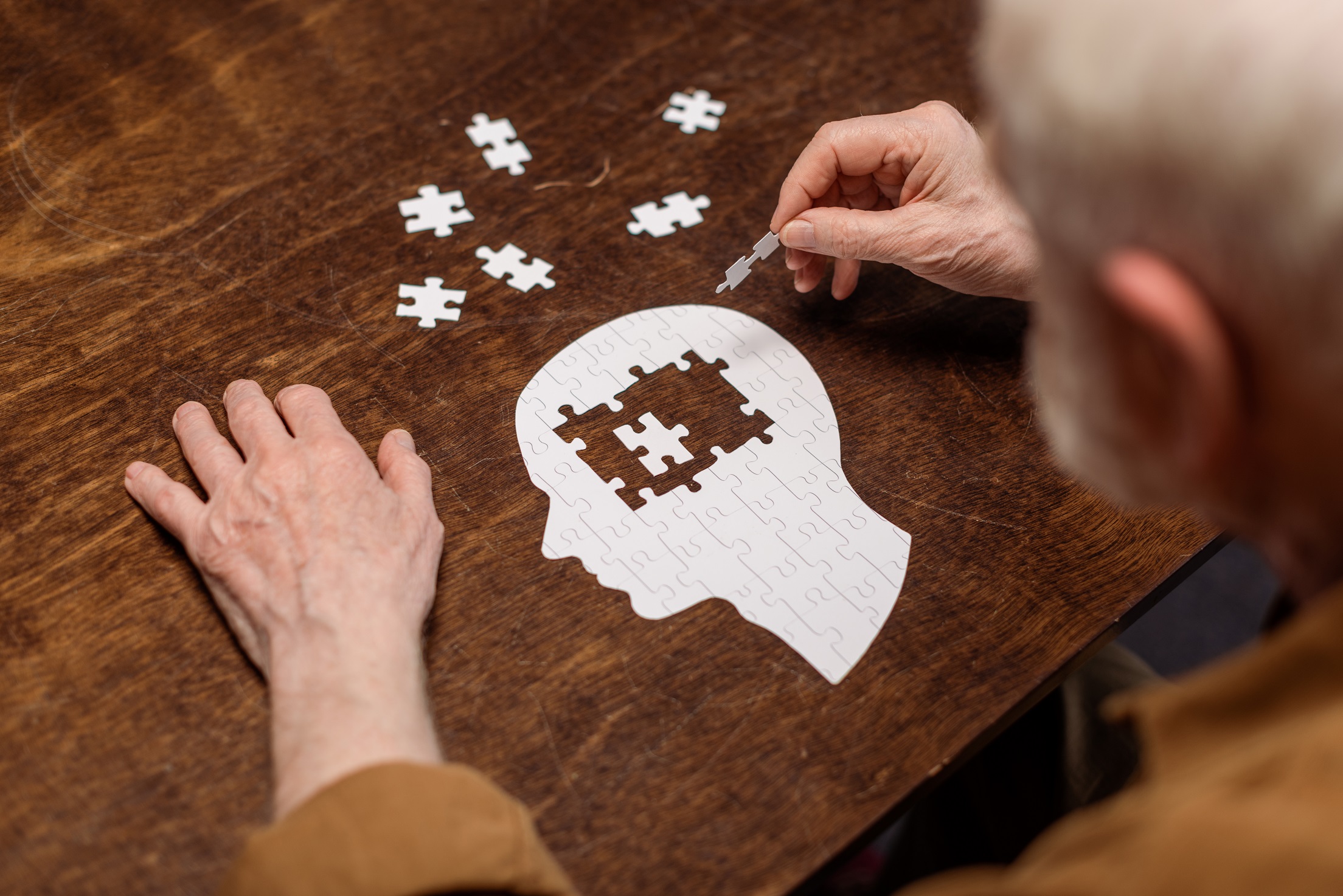 Jogos puzzle e seus possíveis efeitos na cognição de adultos e idosos