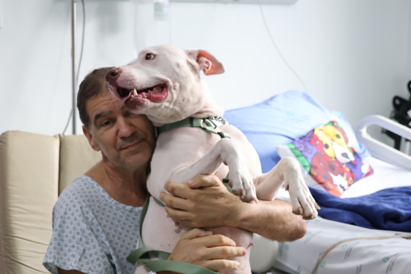 Hospital Santa Teresa facilita visita de animal de estimação para paciente em longa permanência