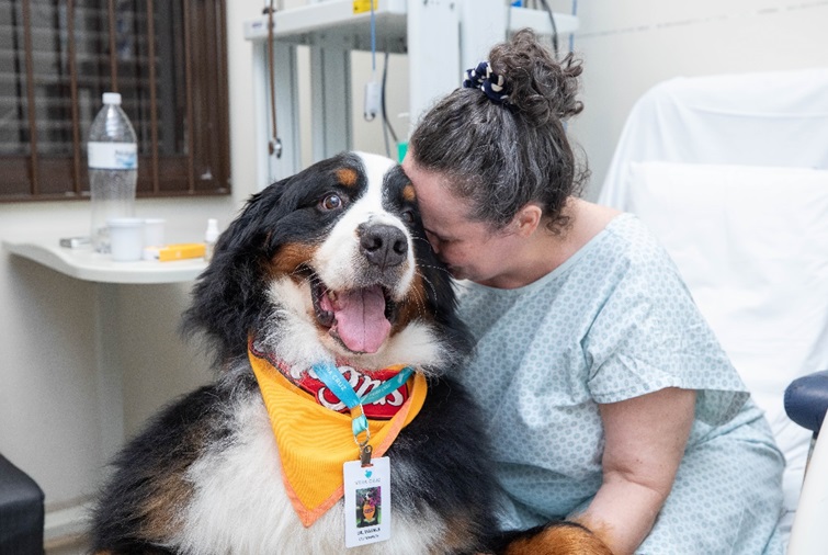 Pets recriam a atmosfera hospitalar e despertam sorrisos em pacientes internados