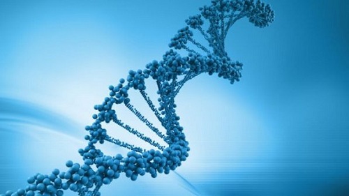 Terapia Genética: Conheça o procedimento que pode tratar, a longo prazo, pacientes alérgicos