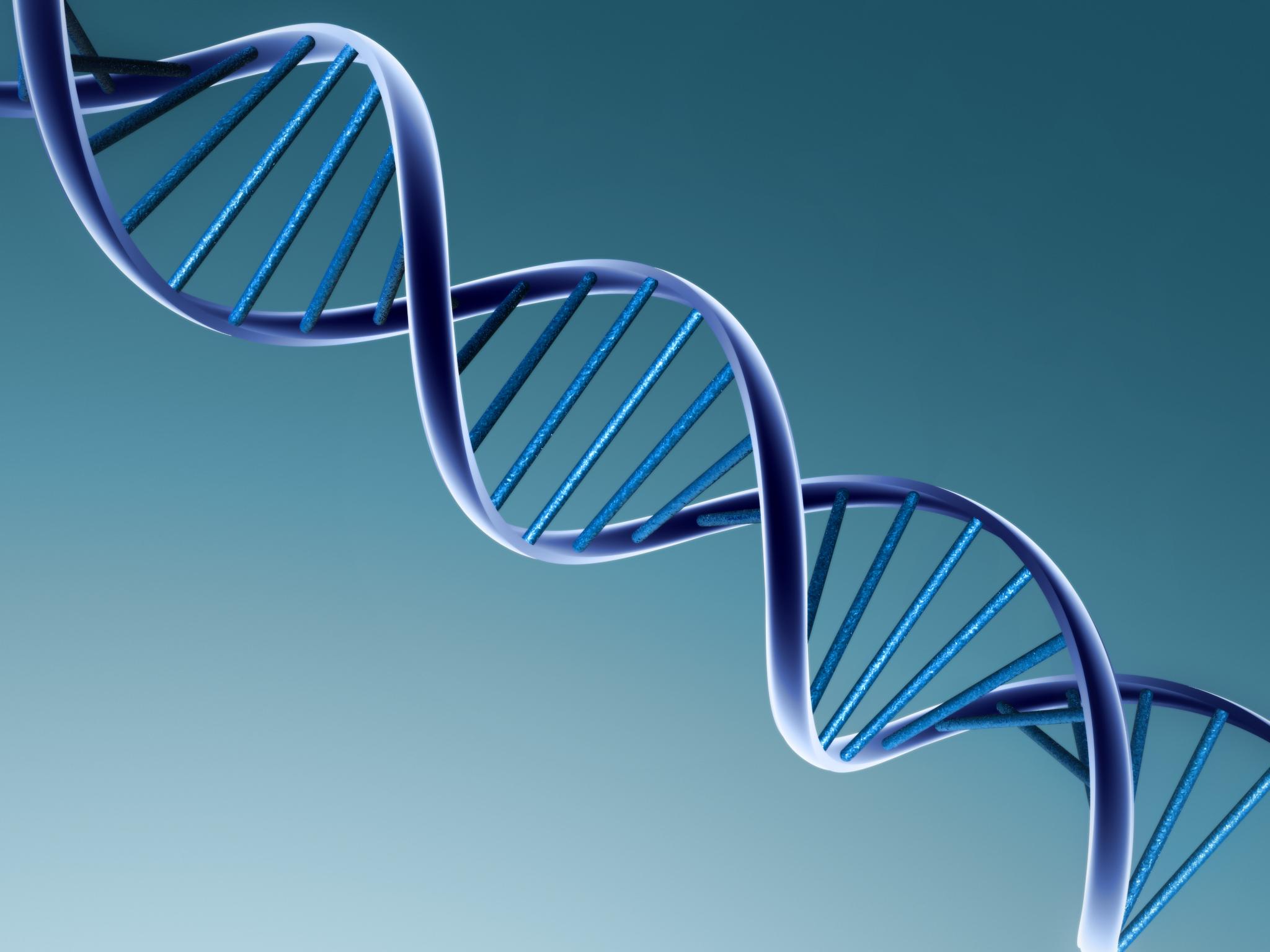 Artigo – Aconselhamento genético como aliado nos diagnósticos médicos